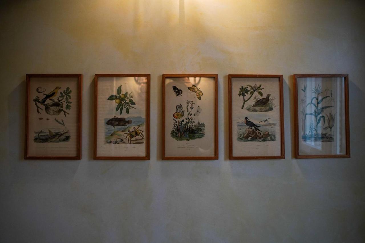 Parco Di Montebello Quattro Castella エクステリア 写真