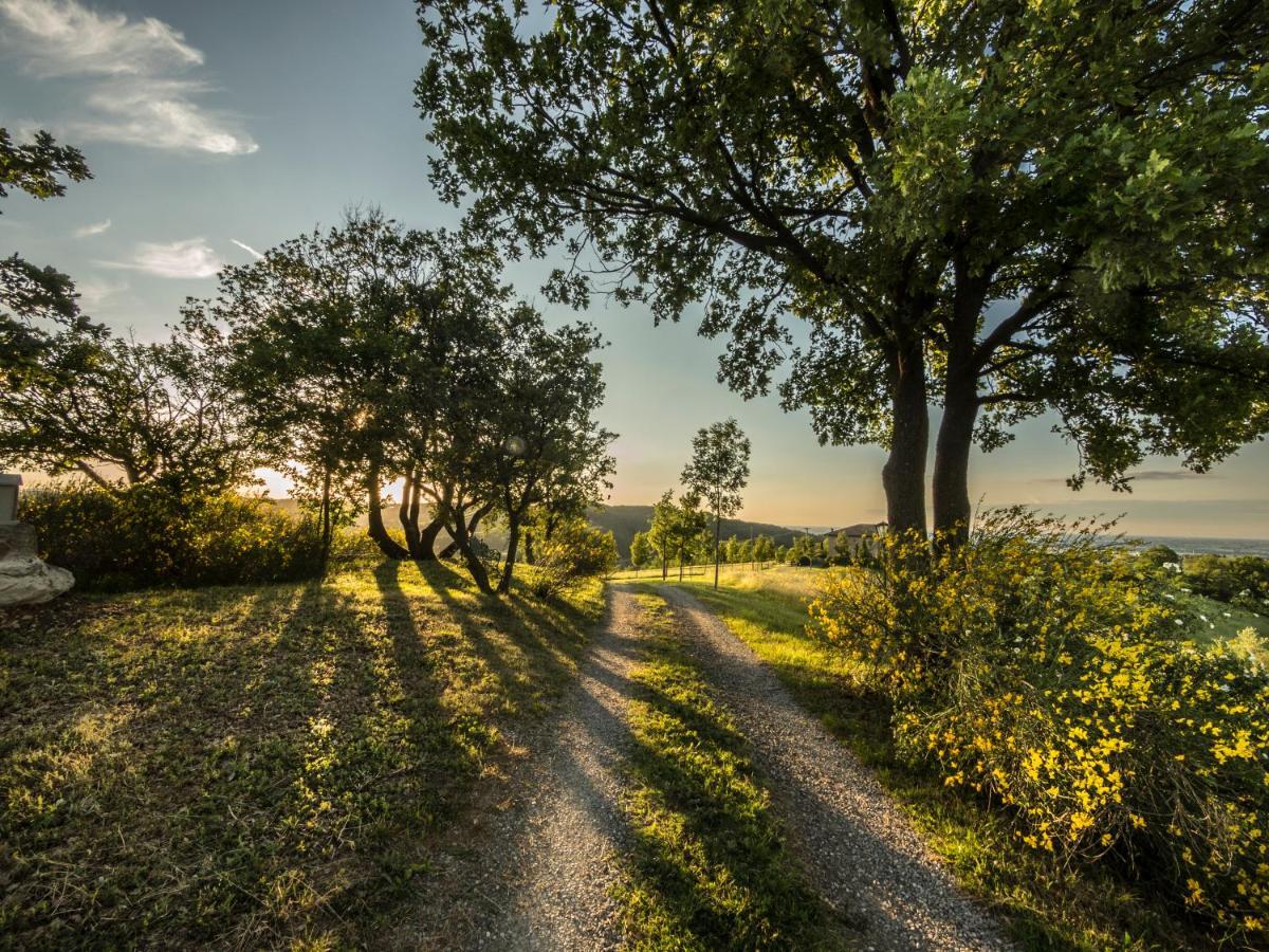 Parco Di Montebello Quattro Castella エクステリア 写真